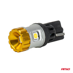 T10 LED žiarovka pre 12 V a 24 V systémy