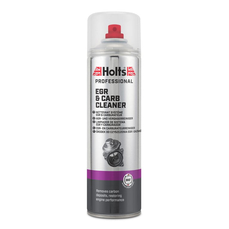 Holts čistič EGR a karburátora 